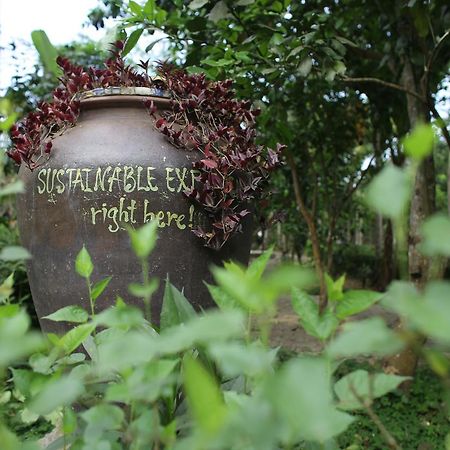 Thuy Bieu Homestay Hue Buitenkant foto
