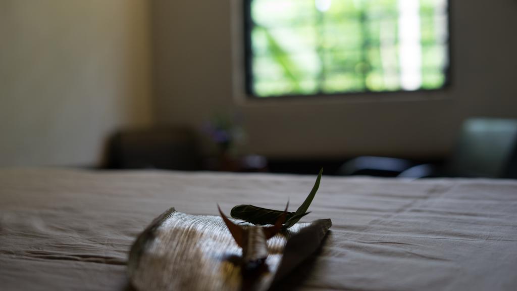 Thuy Bieu Homestay Hue Buitenkant foto