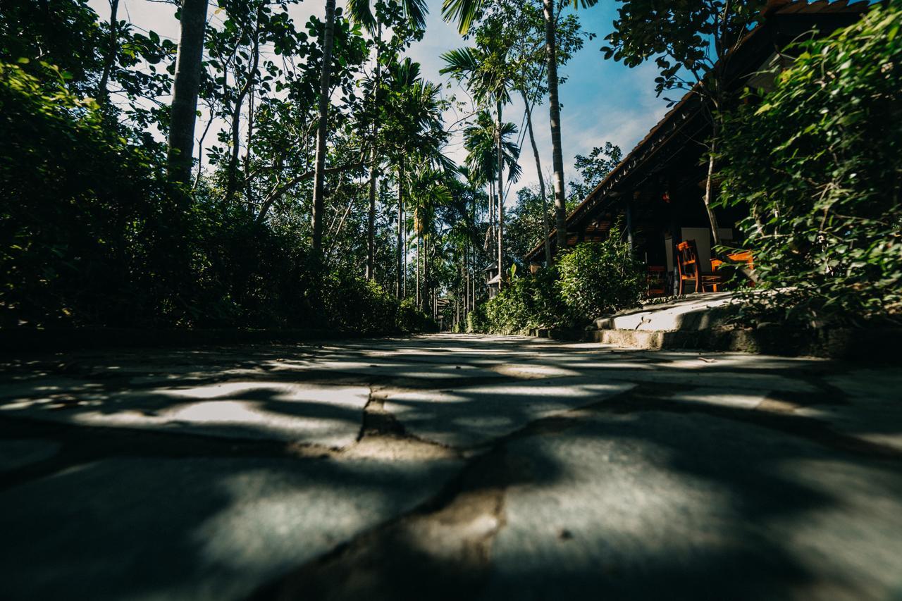 Thuy Bieu Homestay Hue Kamer foto