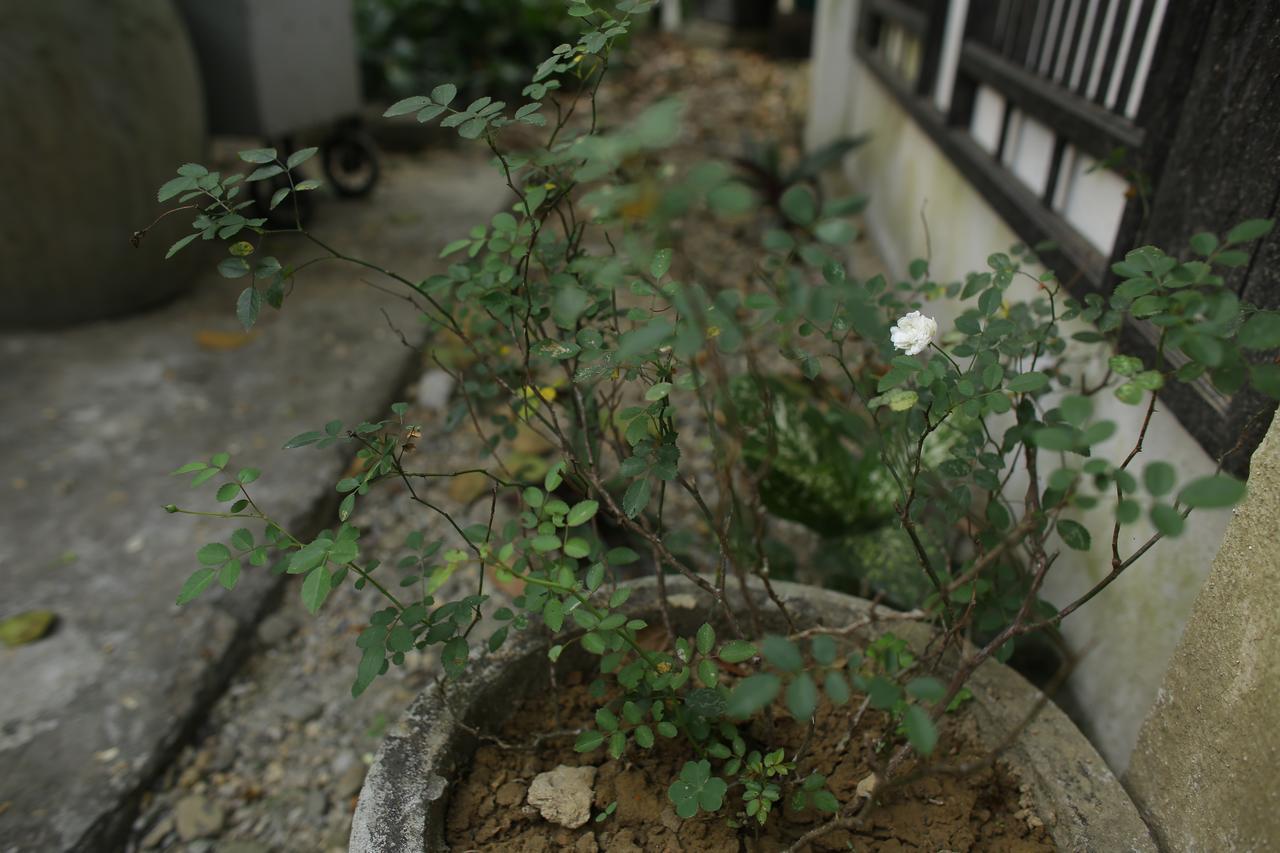 Thuy Bieu Homestay Hue Buitenkant foto