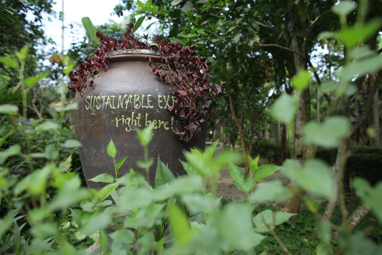 Thuy Bieu Homestay Hue Buitenkant foto