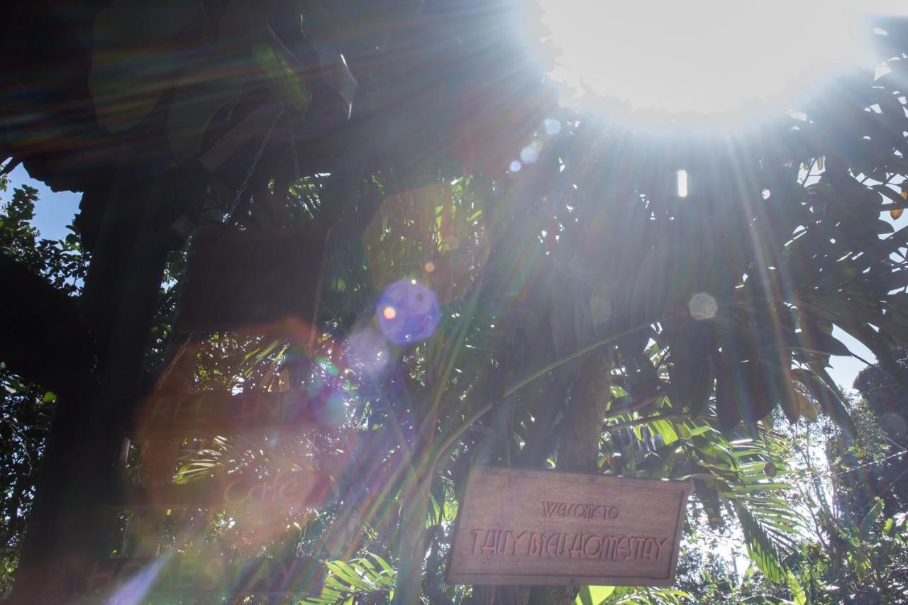 Thuy Bieu Homestay Hue Kamer foto
